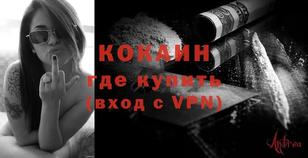 гашик Кулебаки