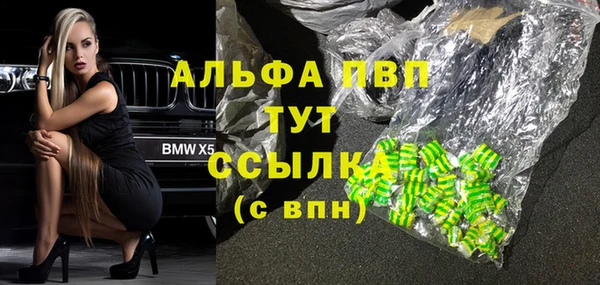 индика Куйбышев