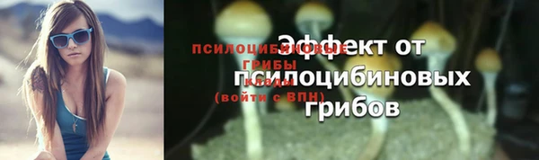 индика Куйбышев