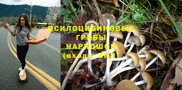 амфетамин Ладушкин