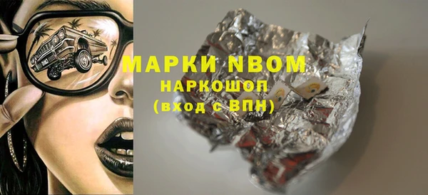 гашик Кулебаки
