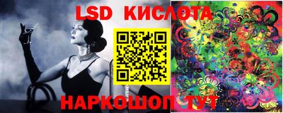 стаф Гусев