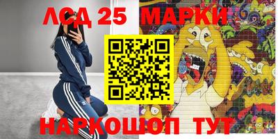 шишки Балашиха