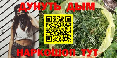 стаф Гусев