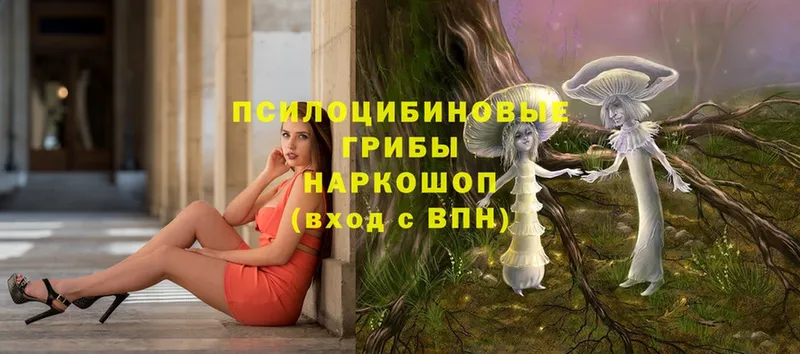 Галлюциногенные грибы GOLDEN TEACHER  Томск 