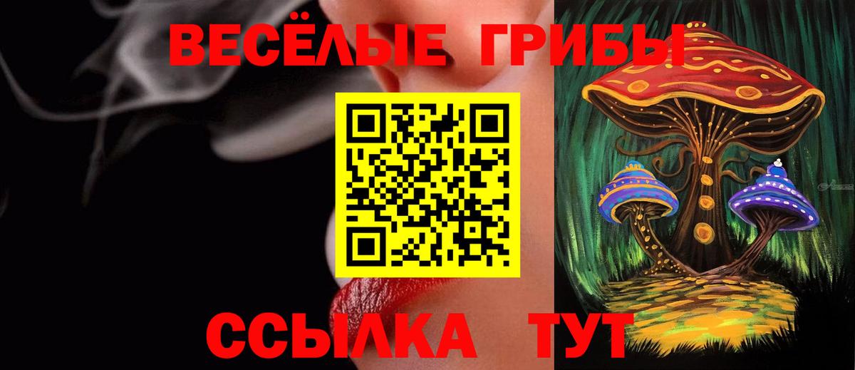 Галлюциногенные грибы MAGIC MUSHROOMS  Псилоцибиновые грибы Psilocybine cubensis  Томск 