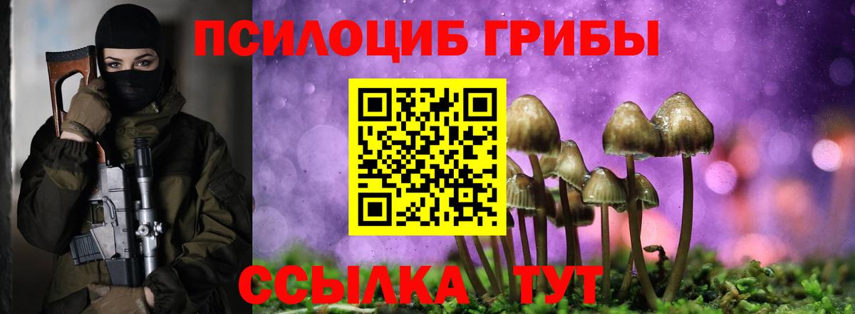 Галлюциногенные грибы MAGIC MUSHROOMS Томск