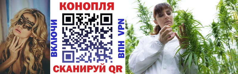 Канабис гибрид  Томск 